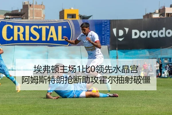 埃弗顿主场1比0领先水晶宫 阿姆斯特朗抢断助攻霍尔抽射破僵 - JIUZHOU.COMapp